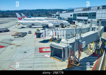 Gli aerei della Japan Airlines sono attraccati nelle giornate di sole ai cancelli del terminal dell'aeroporto di San Francisco Foto Stock