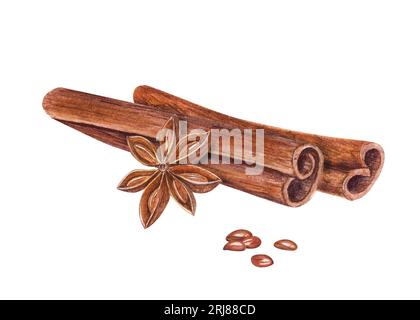 Bastoncini di cannella ad acquerello, anice stellato su bianco. Cannella, badian. Spezie aromatiche scure. Illustrazione disegnata a mano per Natale e Capodanno. Foto Stock