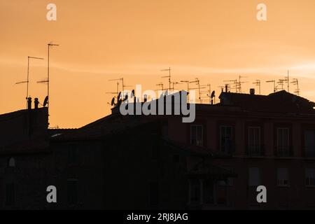 Storico e storico skyline europeo della città, tetti con antenna sagomata al crepuscolo Foto Stock