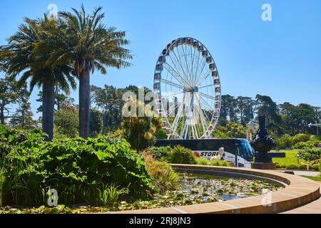 Piccolo laghetto con gigli e piante verdi con autobus e ruota panoramica sullo sfondo Foto Stock