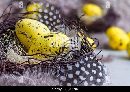 Vacanza ancora vita con uova decorative di quaglia in un nido marrone tra piume. Decorazioni pasquali con focalizzazione selettiva Foto Stock
