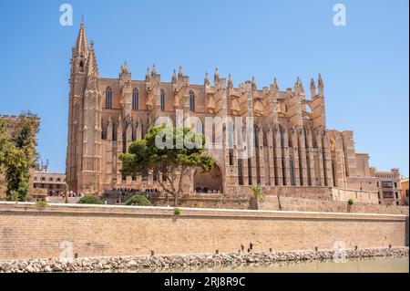 Palma di Maiorca, Spagna - 28 luglio 2023: Splendida cattedrale gotica di Santa Maria de Majorica a Palma. Foto Stock