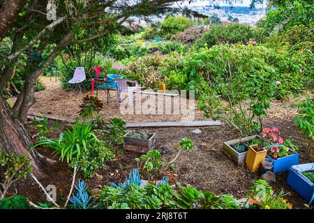 Ampia vista del giardino con sentiero e sedie a sdraio in diversi colori con piante grasse e fiori Foto Stock