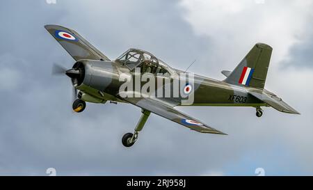 Percival P.56 Provost T1 Foto Stock