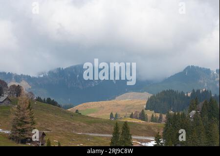 Una vista aerea di una splendida catena montuosa in Svizzera con splendide case incastonate tra gli alberi Foto Stock