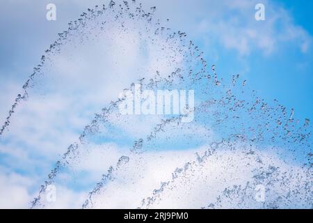 Spruzzi d'acqua sullo sfondo blu del cielo. Fontana, un getto d'acqua contro il cielo blu. Foto Stock