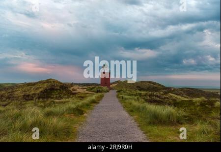 Paesaggio con un sentiero che passa attraverso l'erba di Marram sull'isola di Sylt, nel Mare del Nord, in Germania Foto Stock