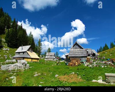 Idilliaco pascolo di montagna di Visevnik con tradizionali capanne in legno nelle alpi Giulie e nel parco nazionale del Triglav, in Slovenia Foto Stock