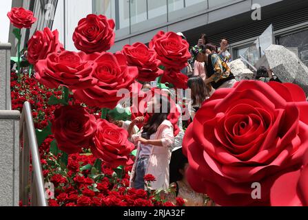 Le persone scattano foto sulle scale decorate con rose simulate in un centro commerciale a Kunming City, nella provincia dello Yunnan della Cina sud-occidentale, 19 agosto 2023 Foto Stock