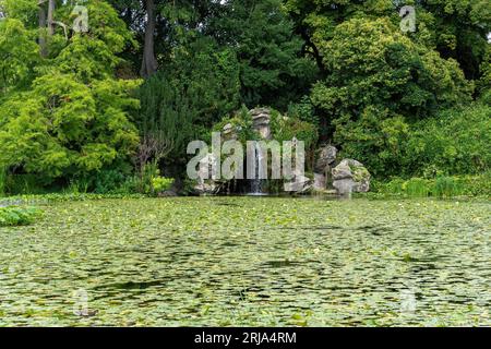 Water Lily Pond nel Parco Bagatelle - Parigi, Francia Foto Stock