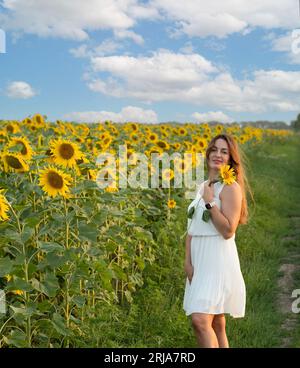 Concetto di Ucraina. Simbolo di pace. Una bella e felice ragazza caucasica con i capelli lunghi, in una camicia bianca, si trova in un campo di girasoli gialli contro un Foto Stock