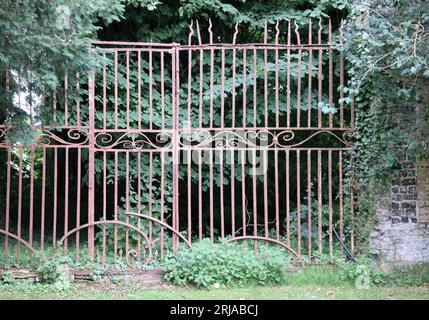 A dilapidated, aged metal entrance gate, A green creeper plant with an old gateway. Stock Photo