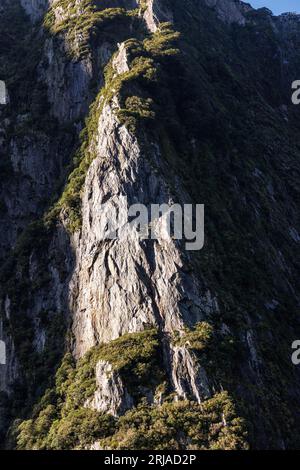 Una foto scattata nei Milford Sounds della nuova Zelanda. Contiene un'aspra scogliera, alcune delle quali sono alla luce e il resto è all'ombra Foto Stock