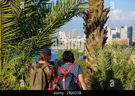 Vista posteriore di donne irriconoscibili che viaggiano in abiti informali e zaini in piedi vicino alle palme e scattano foto mentre ammirano il moderno edificio cittadino Foto Stock