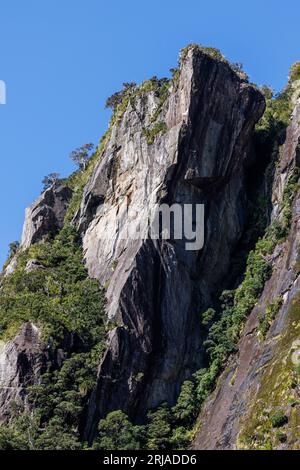 Una scogliera frastagliata e dall'aspetto affilato. La scogliera ha molte piante verdi su di essa. Si trova a Milford Sounds in nuova Zelanda Foto Stock