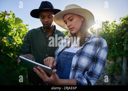 Giovane coppia multirazziale in abbigliamento casual che indica un tablet digitale accanto alle piante della fattoria Foto Stock