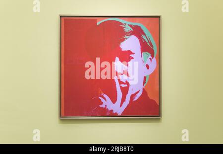 Ritratto di Andy Warhol Foto Stock