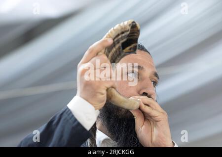 A Elul, il mese prima del Capodanno ebraico, lo shofar viene soffiato nelle mattine dei giorni feriali per ricordarci di assaggiare le nostre vite e migliorarle. Nella contea di Rockland. Foto Stock