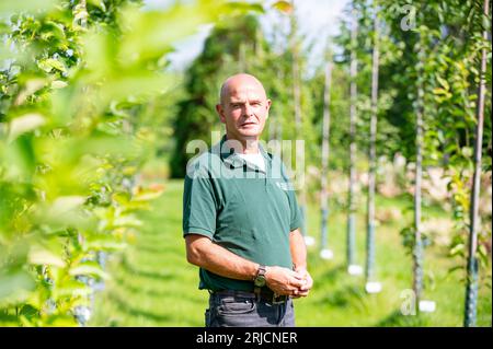 Ellerhoop, Germania. 22 agosto 2023. Andreas Wrede, responsabile delle sperimentazioni di vivaio presso il Centro orticolo della camera di Agricoltura di Ellerhoop, si trova tra varie varietà di olmo in fase di ricerca per un esemplare adatto al vivaio che può essere prodotto economicamente e in modo sensibile al clima. Quali alberi possono resistere all'avanzamento del cambiamento climatico nelle nostre città? Martedì gli esperti hanno cercato soluzioni in un simposio nel centro vivaistico Ellerhoop (distretto di Pinneberg). Crediti: Jonas Walzberg/dpa/Alamy Live News Foto Stock