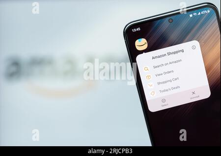 New York, Stati Uniti - 20 agosto 2023: Widget Opzioni dell'app Amazon shopping in primo piano sullo schermo dello smartphone con sfondo del logo sfocato Foto Stock