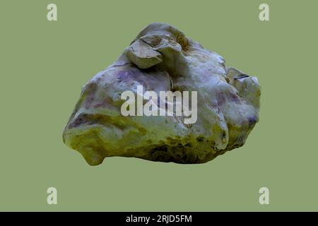 Still Life: A coarse shell, shown from above, with embedded stones. Studio shot with copy space. Stock Photo