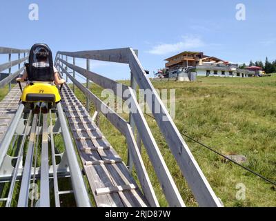 Fieberbrunn, Austria, The Alpine Coaster at Timok's Wild World. Foto Stock