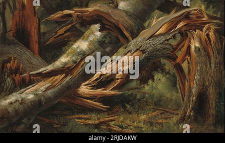 Fallen Tree tra il 1839 e il 1845 circa di Alexandre Calame Foto Stock