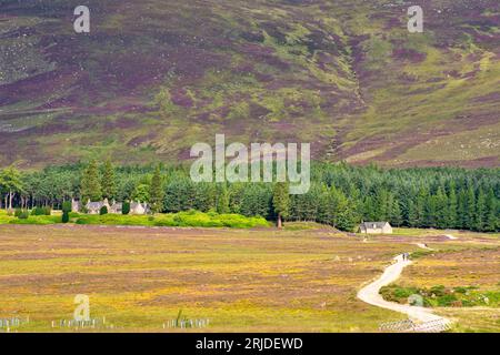 Loch Muick Ballater Balmoral Estate Scotland Estate, edifici immobiliari, sentieri pedonali e camminatori viola heather sulla collina in estate Foto Stock