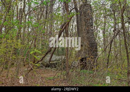 Rovine di un vecchio camino lungo un sentiero rimangono lasciate da una fattoria che un tempo era in montagna circondati dagli alberi nella foresta di sprin Foto Stock