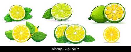 Impostare limone giallo e lime con foglie in stile scarlatto su sfondo bianco. Contesto Illustrazione Vettoriale