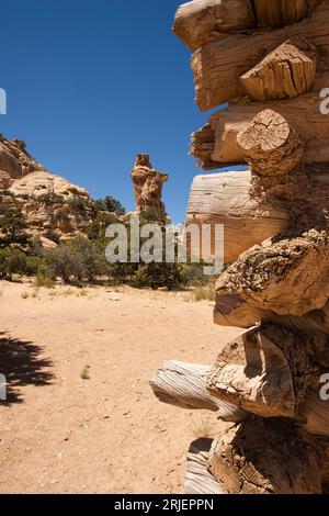 La Broken Cross Tower si trova dietro la storica capanna dello Swasey nella contea di Sinbad, sulla San Rafael Swell, Utah. Foto Stock