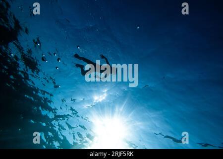 Da sotto la silhouette di un adolescente a corpo pieno con pinne e maschera da snorkeling che nuota sott'acqua in acque blu profonde e trasparenti Foto Stock