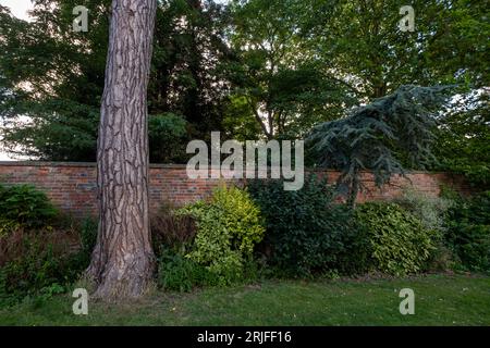 Castle Gardens, Wallingford, Oxfordshire Foto Stock