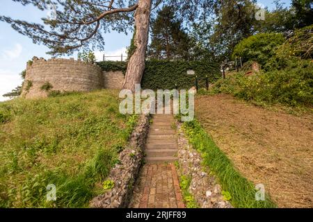 Castle Gardens, Wallingford, Oxfordshire Foto Stock