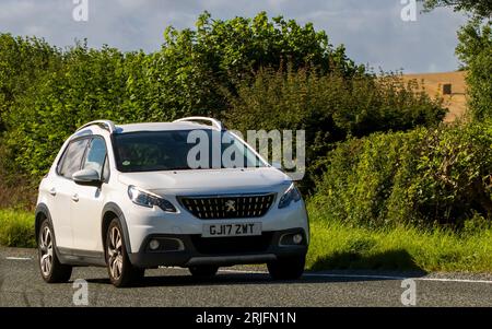 Woburn,Beds.UK - 19 agosto 2023: 2008 auto bianca Peugeot 2008 che viaggia su una strada di campagna inglese. Foto Stock