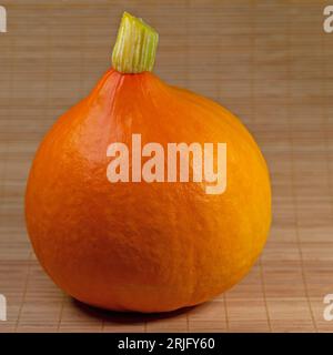 Hokkaido squash, Cucurbita maxima, in primo piano Foto Stock