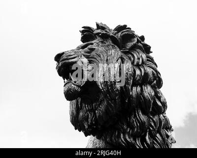 Maiwand Lion, Statua, Forbury Gardens, Reading, Berkshire, Inghilterra, Regno Unito, Regno Unito. Foto Stock