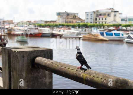 Valenca, Bahia, Brasile - 10 gennaio 2023: Vista panoramica sul fiume una e sul bordo della città di Valenca con edifici commerciali. Bahia Brasile Foto Stock