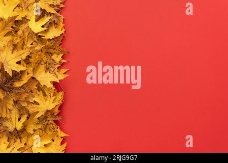 Sfondo autunnale rosso con foglie di acero giallo Foto Stock