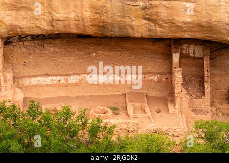 Dance Plaza at Fire Temple in alcove a Chapin Mesa, vista dal Mesa Top Loop, Mesa Verde National Park, Colorado, USA Foto Stock