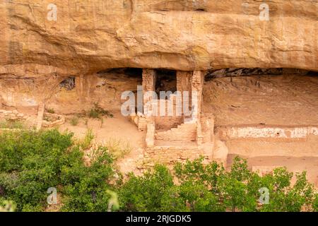 Dance Plaza at Fire Temple in alcove a Chapin Mesa, vista dal Mesa Top Loop, Mesa Verde National Park, Colorado, USA Foto Stock