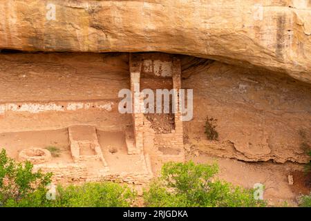 Dance Plaza at Fire Temple in alcove a Chapin Mesa, vista dal Mesa Top Loop, Mesa Verde National Park, Colorado, USA Foto Stock