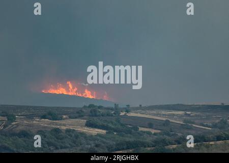 Devastante incendio ad Alexandroupolis Evros, Grecia, disastro ecologico e ambientale, fumo copriva il cielo. Foto Stock