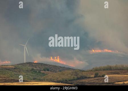 Devastante incendio ad Alexandroupolis Evros, Grecia, disastro ecologico e ambientale, fumo coperto dal cielo, turbine eoliche in fiamme. Foto Stock