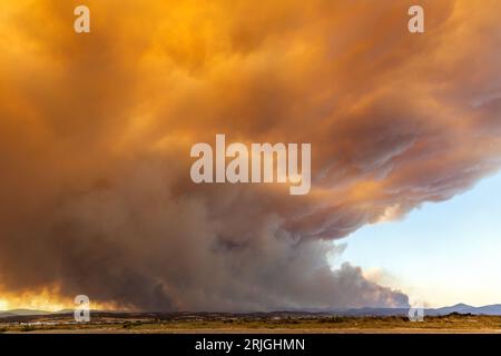 Devastante incendio ad Alexandroupolis Evros, Grecia, disastro ecologico e ambientale, fumo copriva il cielo. Foto Stock