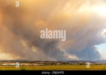 Devastante incendio ad Alexandroupolis Evros, Grecia, disastro ecologico e ambientale, fumo copriva il cielo. Foto Stock