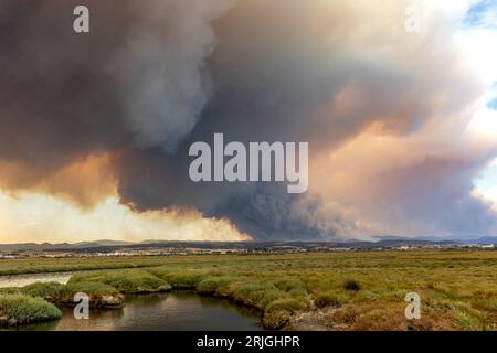 Devastante incendio ad Alexandroupolis Evros, Grecia, disastro ecologico e ambientale, fumo copriva il cielo. Foto Stock