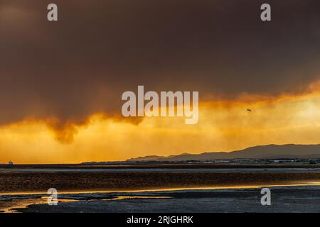 Devastante incendio ad Alexandroupolis Evros, Grecia, disastro ecologico e ambientale, fumo copriva il cielo. Foto Stock