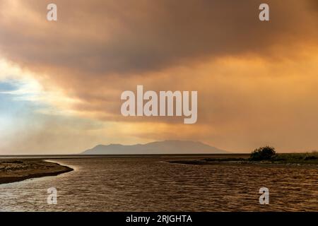 Devastante incendio ad Alexandroupolis Evros, Grecia, disastro ecologico e ambientale, fumo copriva il cielo. Foto Stock