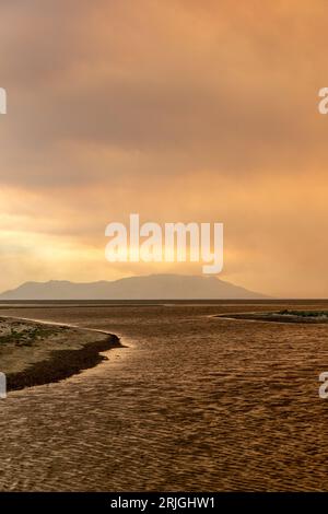 Devastante incendio ad Alexandroupolis Evros, Grecia, disastro ecologico e ambientale, il fumo copriva l'isola di Samotracia. Foto Stock